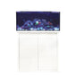 D-D Reef-Pro 900 White Gloss Aquariumsystem 90x60x46cm