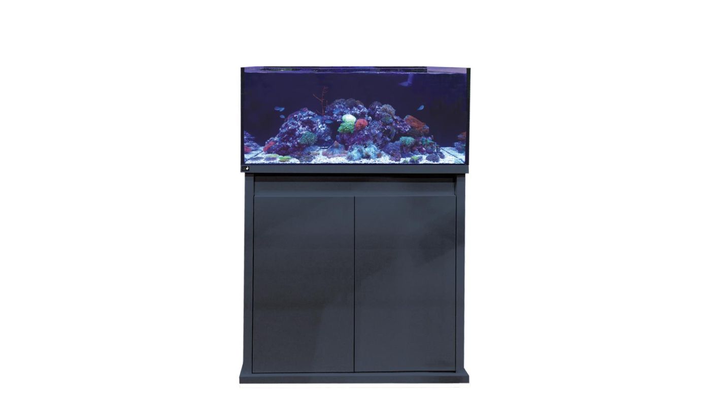 D-D Reef-Pro 900 Anthracite Gloss Aquariumsystem 90x60x46cm