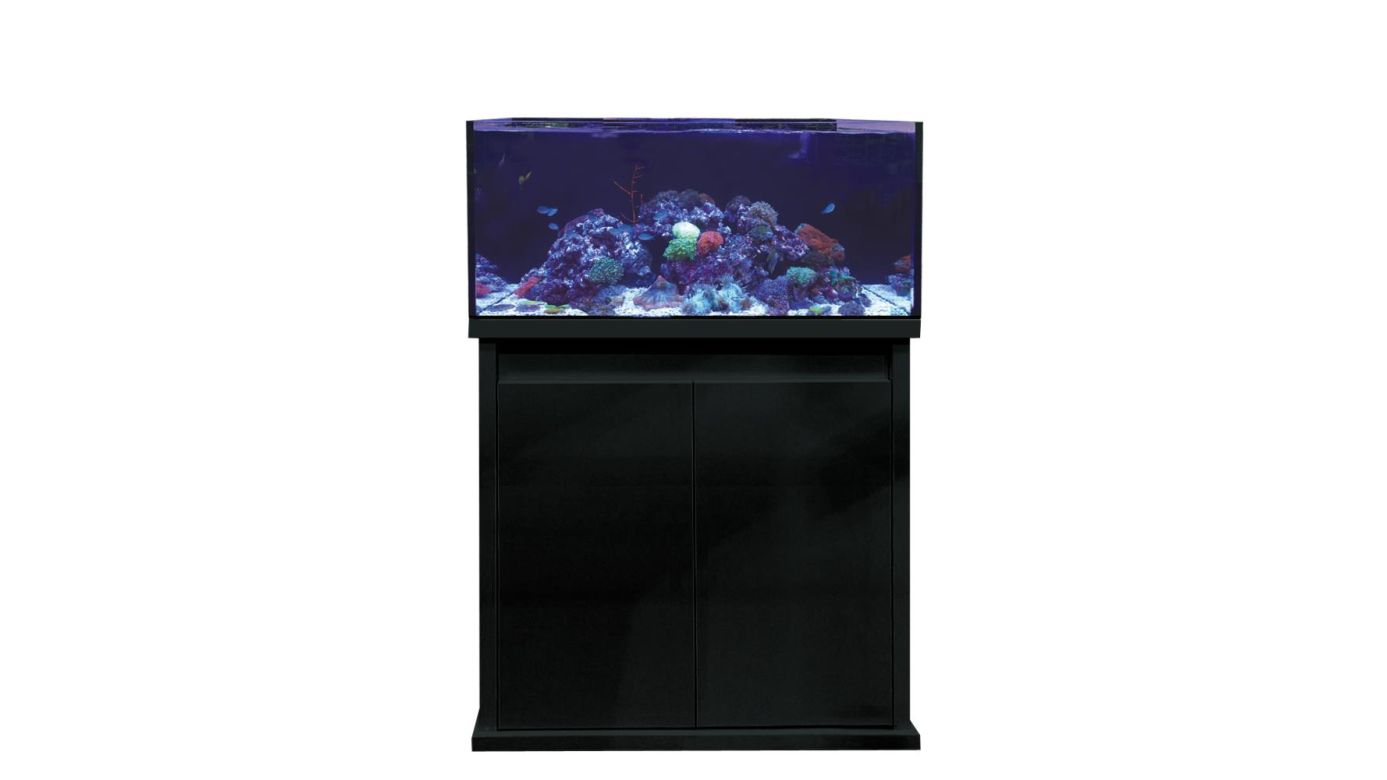 D-D Reef-Pro 900 D-LUX Black Gloss Aquarium inkl. Beleuchtung, Riffaufbau, Salz