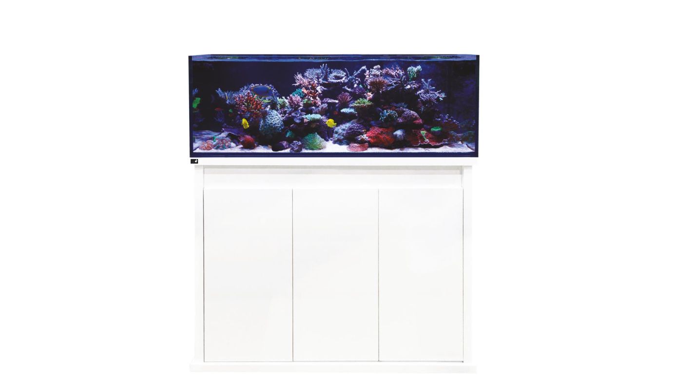 D-D Reef-Pro 1200 D-LUX White Gloss Aquarium inkl. Beleuchtung, Riffaufbau, Salz