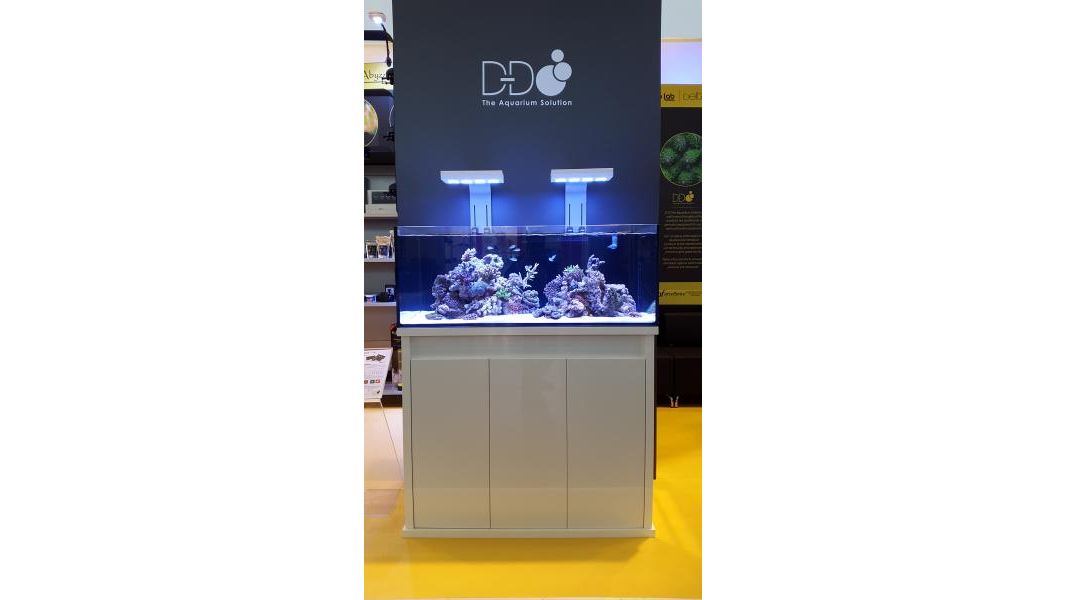 D-D Reef-Pro 1200 Anthracite Gloss Aquariumsystem 120x60x46cm