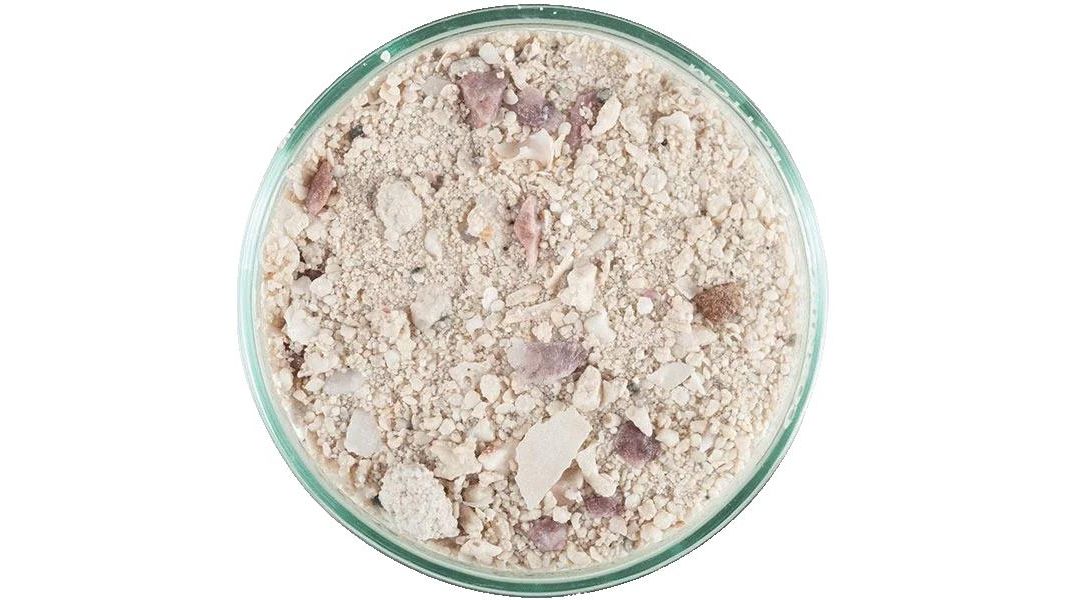 CaribSea Aragalive Bimini Pink (0,5-5,0mm) 9,07 kg