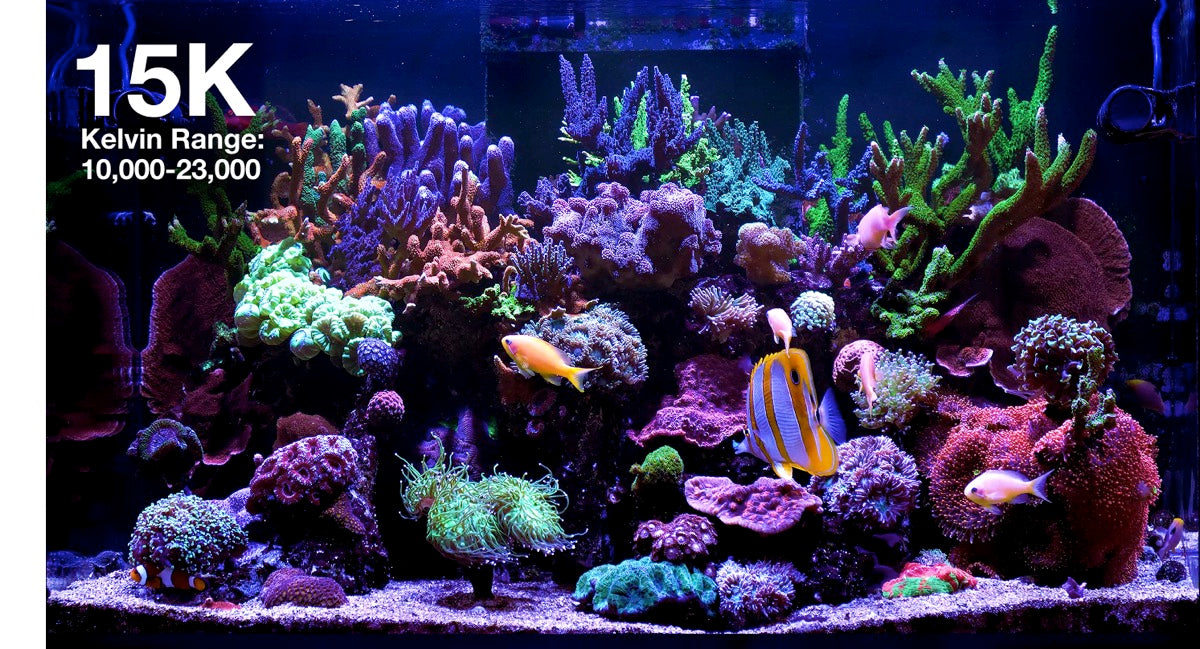 *NEU* Red Sea ReefLED G2 115 (115W) (R35920EUR)