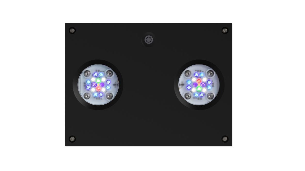 AI Hydra 32HD LED schwarz (90 W)