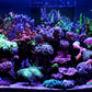 *NEU* Red Sea ReefLED G2 115 (115W) (R35920EUR)
