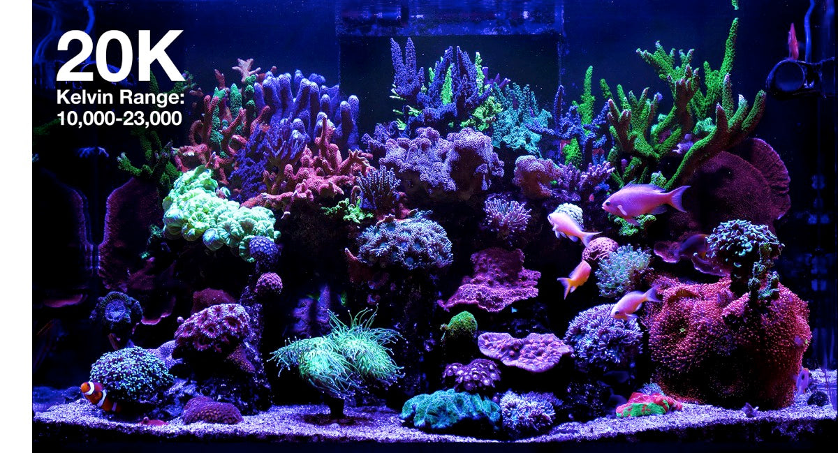 *NEU* Red Sea ReefLED G2 115 (115W) (R35920EUR)