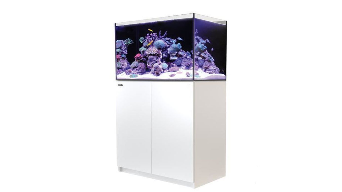 Red Sea REEFER™ 250 System G2+ Weiß (R42122G2P-EUR) – Meerwasser