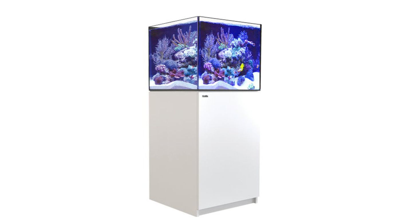Red Sea REEFER™ 200 System G2+ Weiß (R42462G2P-EUR)