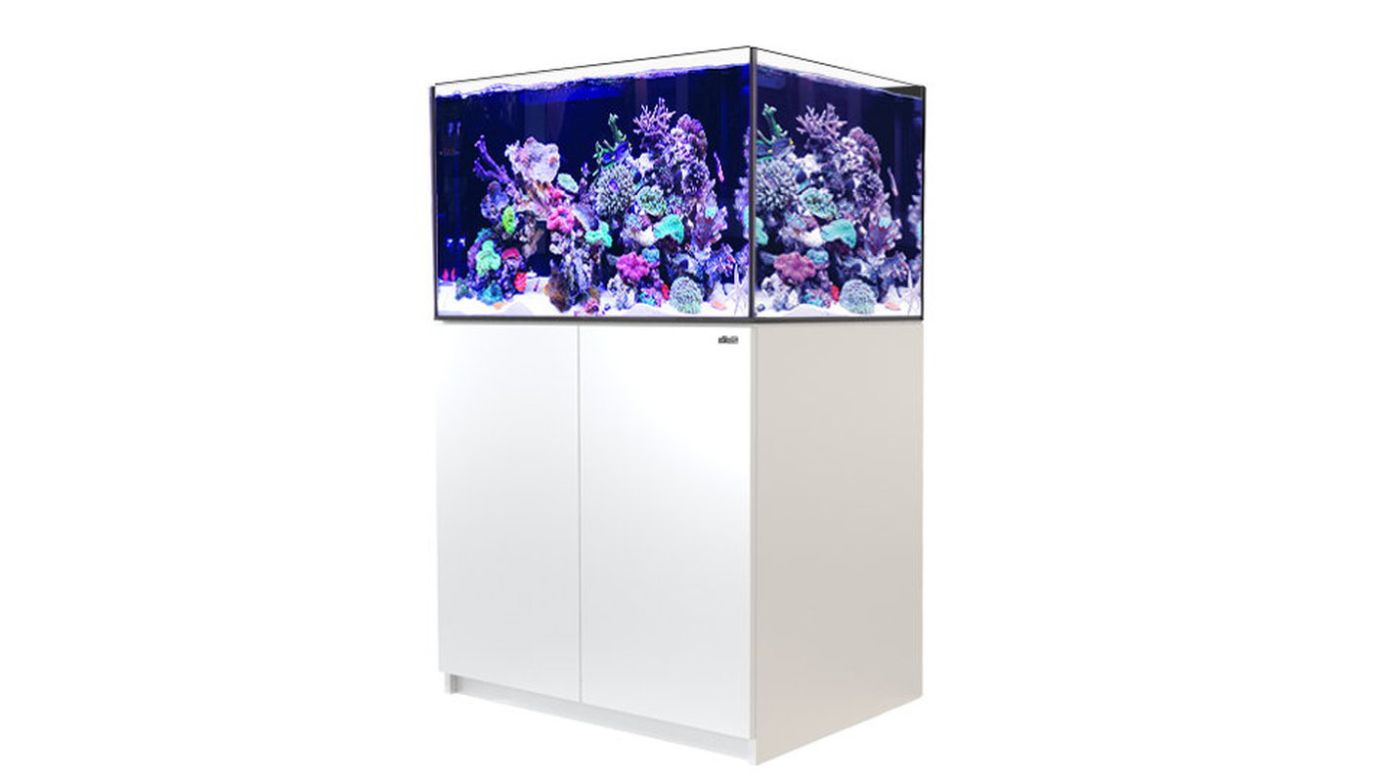 Red Sea REEFER™ 300 System G2+ Weiß (R42472G2P-EUR)
