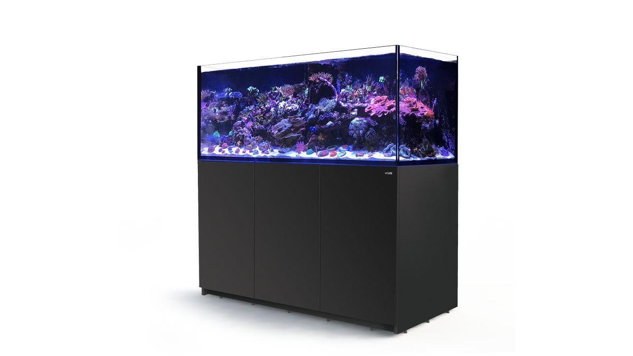 Red Sea REEFER™ 625 System G2+ Schwarz (R42261G2P-EUR)