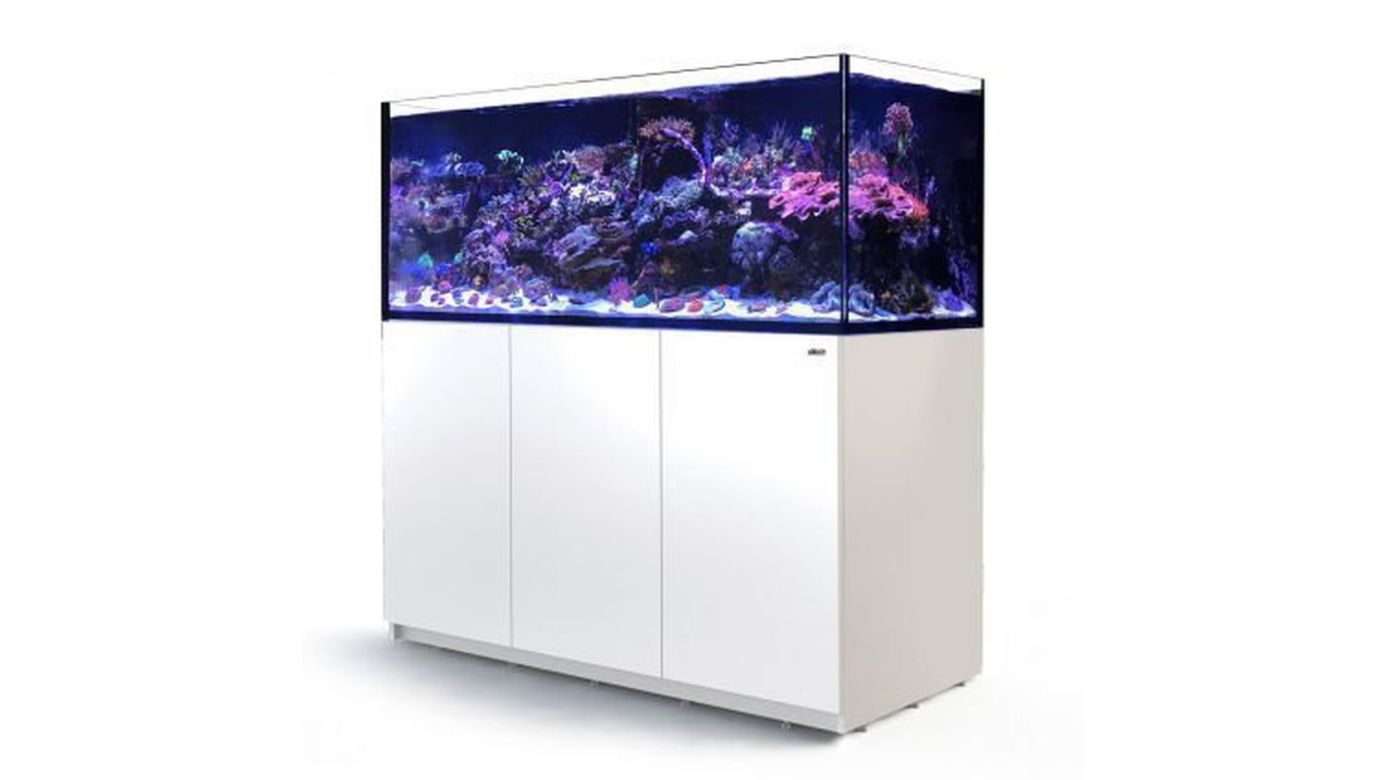 Red Sea REEFER™ 625 System G2+ Weiß (R42262G2P-EUR)