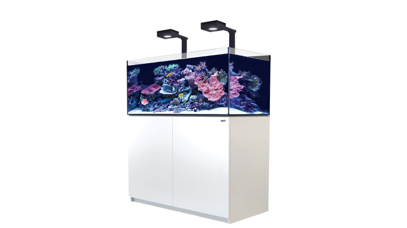 Red Sea REEFER™ 425 System G2+ Deluxe Weiß (inkl. RL170 & Arme) (R42248G2PA-EUR)