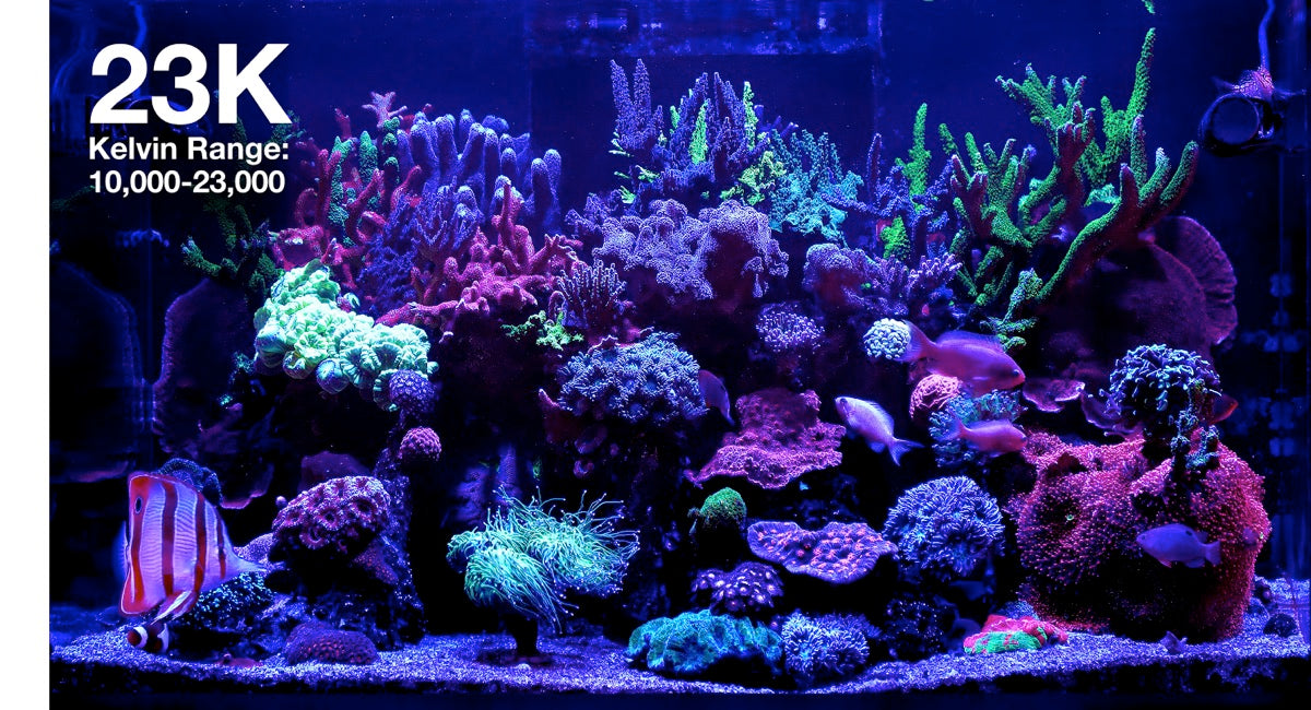 *NEU* Red Sea ReefLED G2 115 (115W) (R35920EUR)