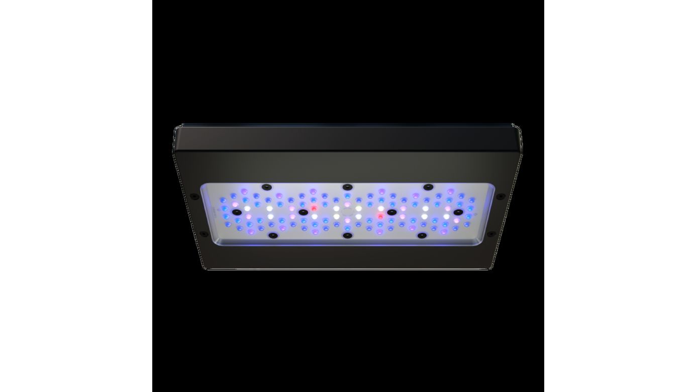 Ecotech Marine Radion XR30 G6 Blue LED