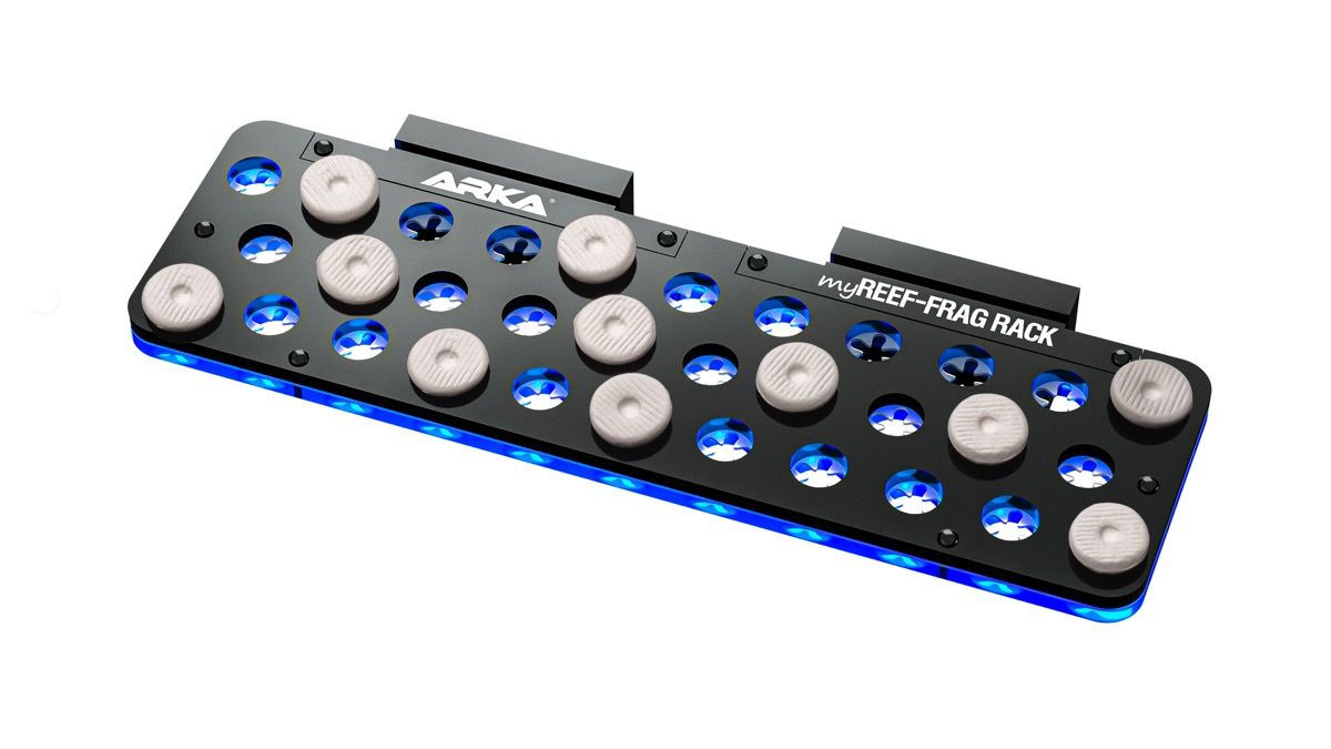 ARKA myReef CoralPlugs Ablegersteine rund 21 mm (12 St.)