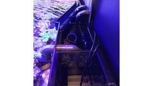 D-D Reef-Pro 900 D-LUX White Gloss Aquarium inkl. Beleuchtung, Riffaufbau, Salz