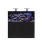 D-D AQUA-Pro Reef 1500 Metal Frame Black Satin Aquariumsystem 150x60x56cm