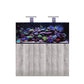 D-D AQUA-Pro Reef 1500 Metal Frame Driftwood Concrete Aquariumsystem 150x60x56cm