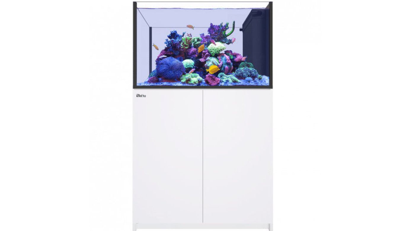 Red Sea REEFER™ Peninsula G2+ 350 System Raumteiler Weiß (R43502G2P-EUR)