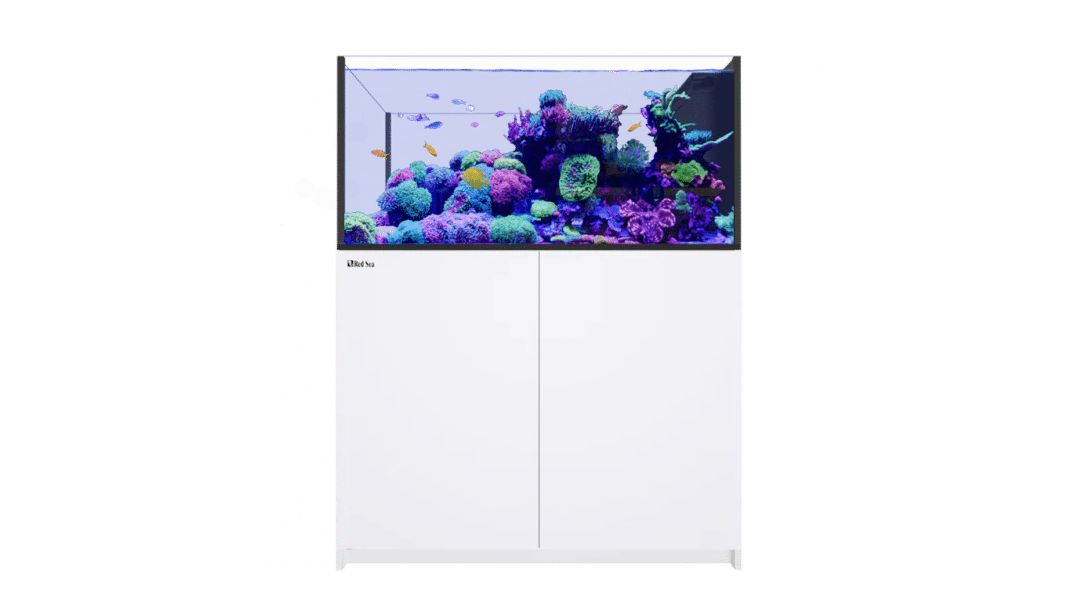Red Sea REEFER™ Peninsula G2+ 500 System Raumteiler Weiß (R42352G2P-EUR)