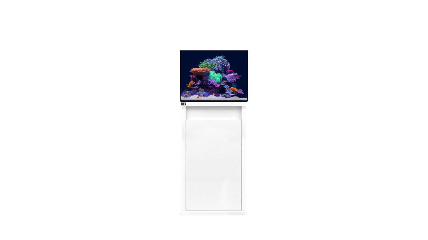 D-D Reef-Pro 600 White Gloss Aquariumsystem 60x60x46cm