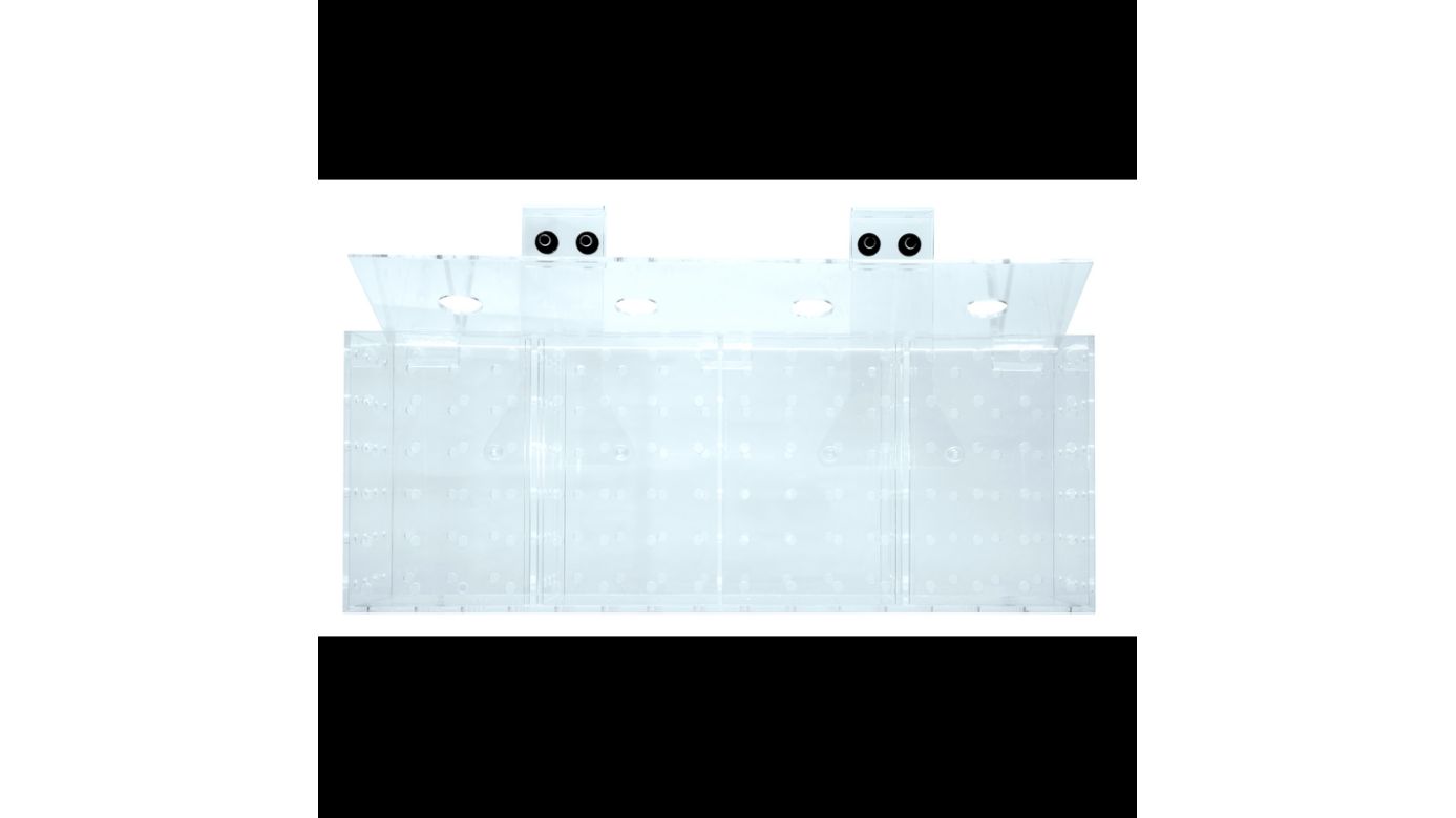 Grotech Akklimatisierungsbox 5-Kammern