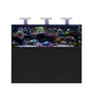 D-D AQUA-Pro Reef 1800 Metal Frame Black Gloss Aquariumsystem 180x60x56cm