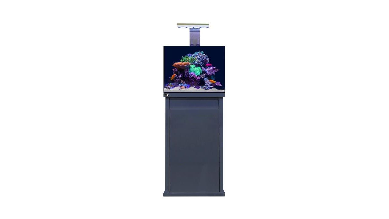 D-D Reef-Pro 600 Anthracite Gloss Aquariumsystem 60x60x46cm