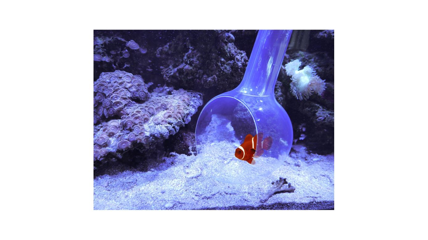 Aqua Medic Catch Bowl Fangkelle