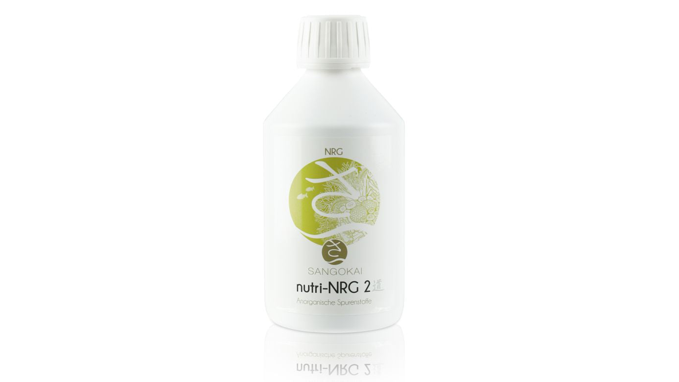 Sangokai sango nutri-NRG #2 1000 ml