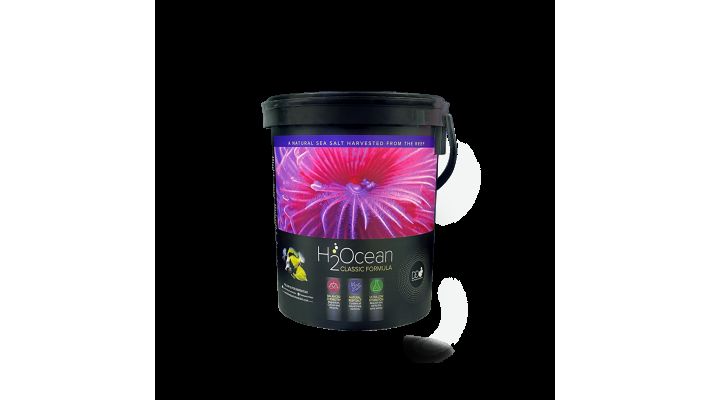 D-D H2Ocean Classic Formular Meersalz 23 kg Eimer