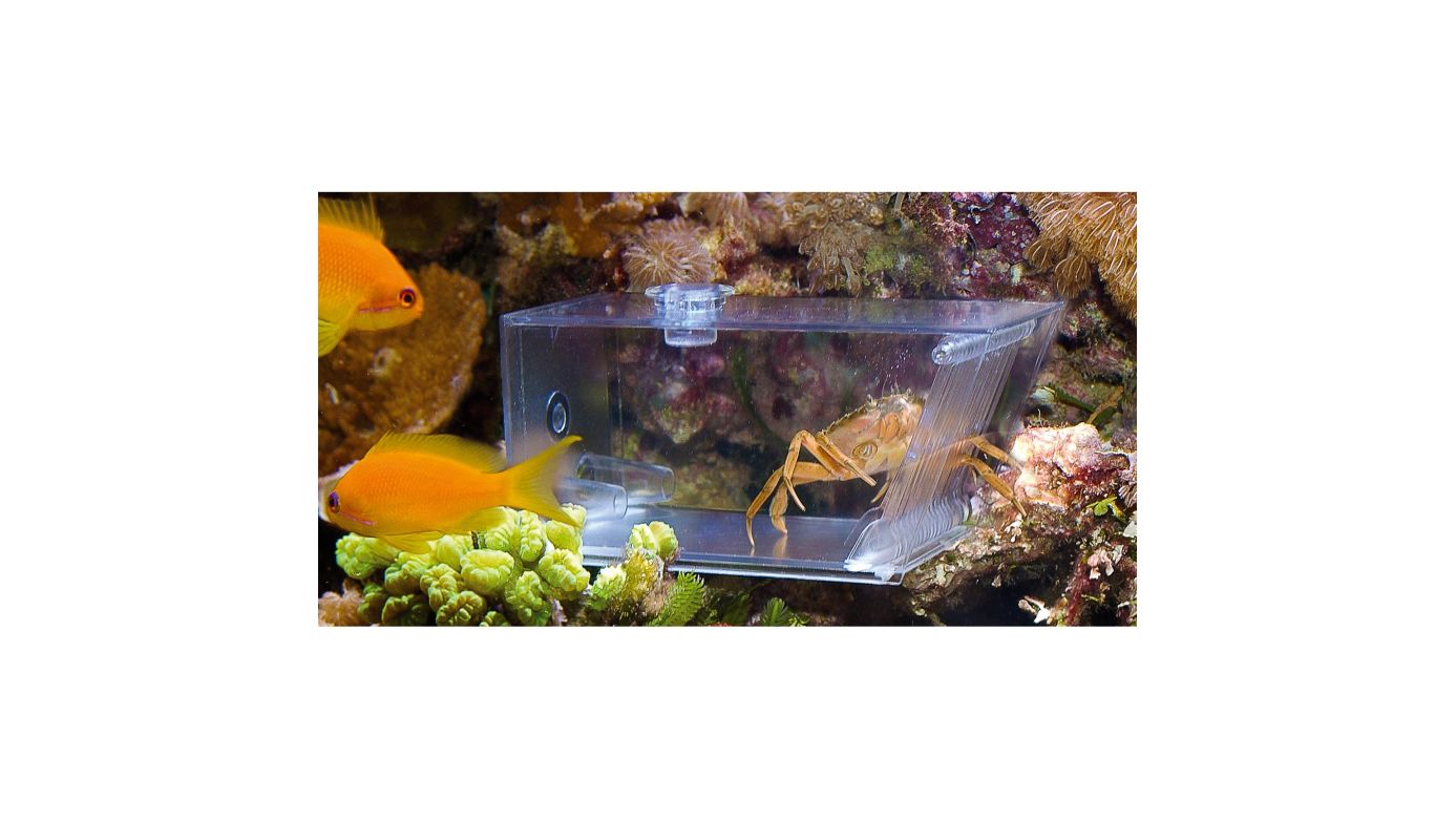 Aqua Medic Trap Pest Krebsfalle (15,5x7,5x8,5 cm)