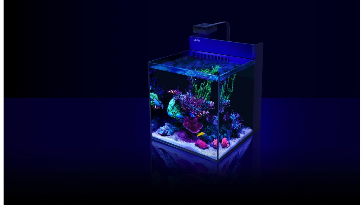 Red Sea MAX NANO G2 XL inkl. schwarzer Unterschrank (R40080G2)