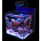 Red Sea MAX NANO G2 Cube exkl. Unterschrank (R40002G2)