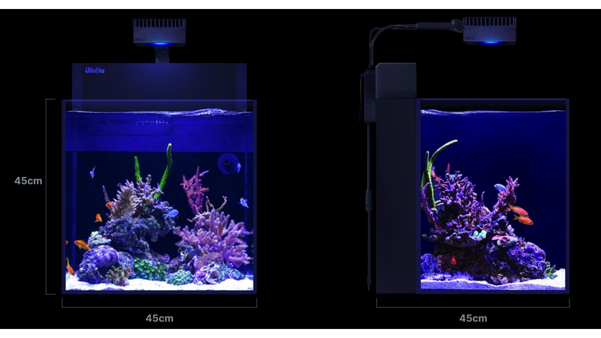 Red Sea MAX NANO G2 Cube inkl. weißer Unterschrank (R40001G2)