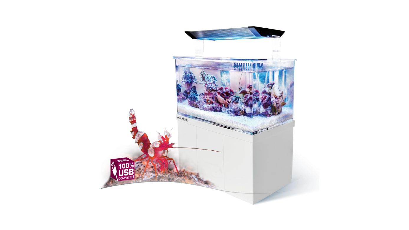 Aqua Medic Armatus XS (26,5x17x15 cm) Microaquarium 4 L