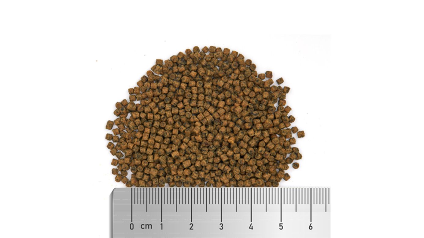 Fauna Marin Soft Spirulina L Granulatfutter 150 g