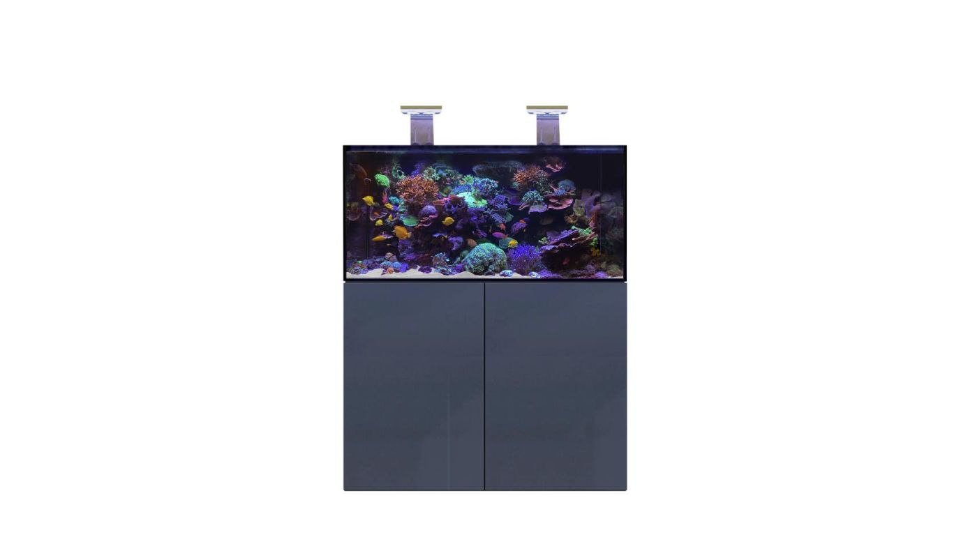 D-D AQUA-Pro Reef 1200 Anthracite Gloss 120x60x56cm Aquariumsystem mit Holzschrank