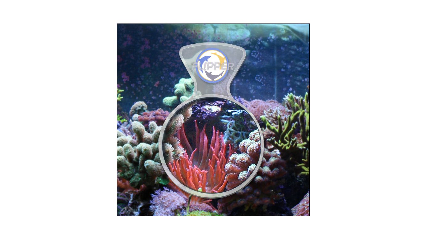 Flipper DeepSee Viewer Standard Clear Lupe (max. Glasstärke 15mm)