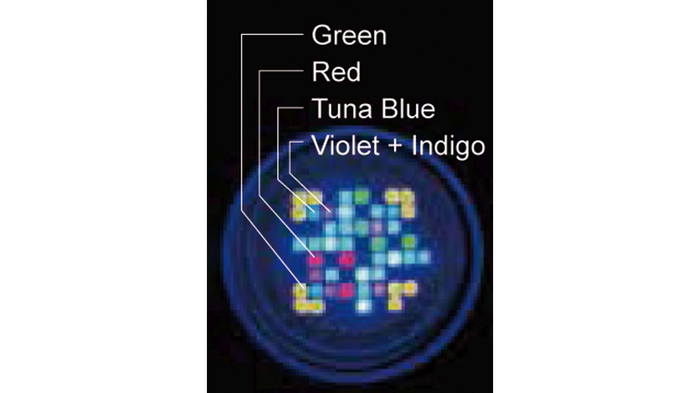 Kessil A360XE Tuna Blue (max. 90 W)