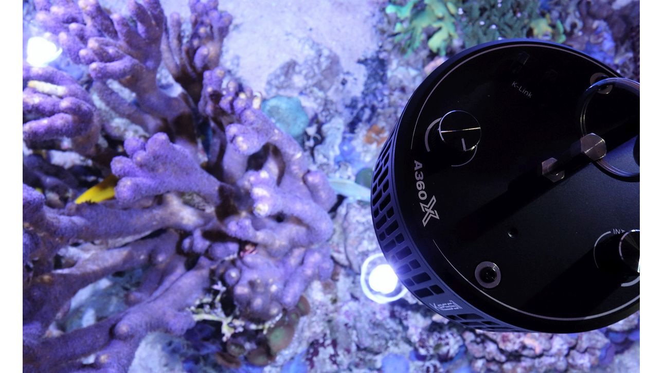 Kessil A360XE Tuna Blue (max. 90 W)
