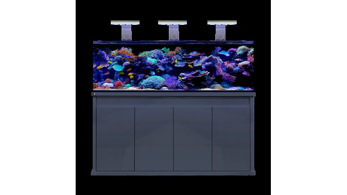 D-D Reef-Pro 1800 Anthracite Gloss Aquariumsystem 180x60x56cm