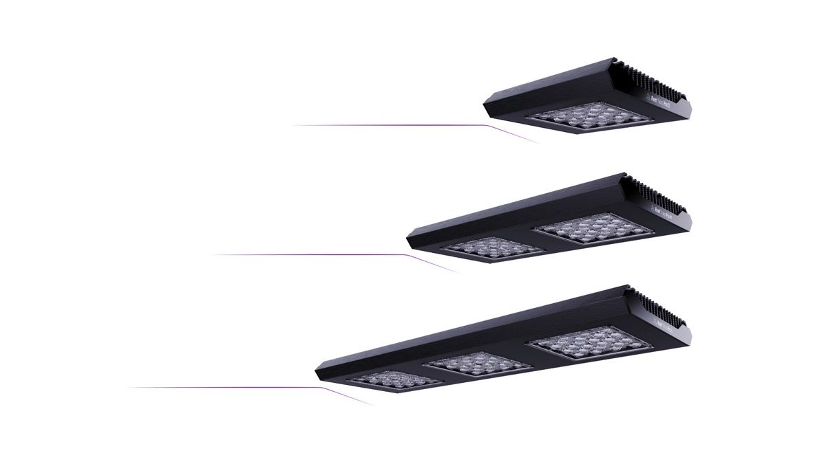 Reef Factory Reef flare Pro M 160 W (black)