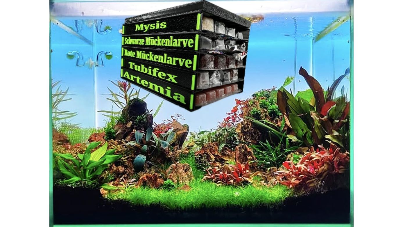 Frostfutterbox Organizer 5-fach inkl. Beschriftung