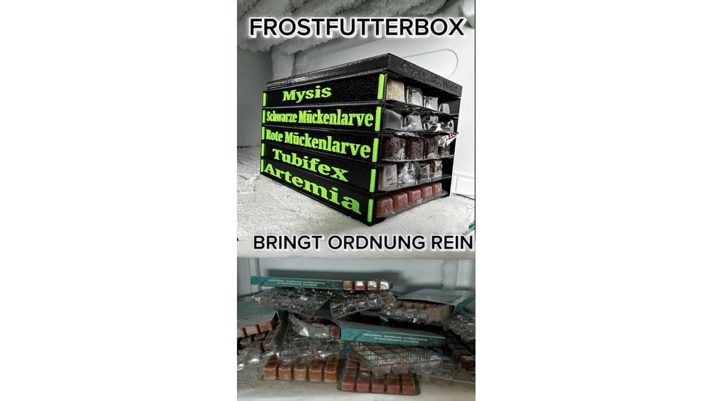 artemia aufbewahren Frostfutterbox Organizer 10-fach inkl. Beschriftung – Meerwasser Hardware Onlineshop