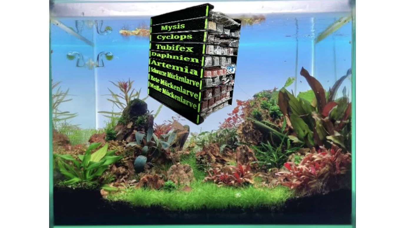 artemia aufbewahren Frostfutterbox Organizer 10-fach inkl. Beschriftung – Meerwasser Hardware Onlineshop