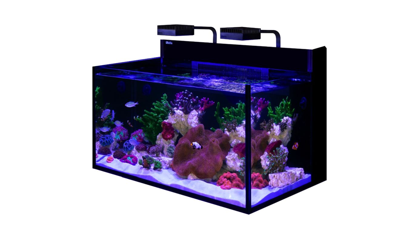 Red Sea MAX NANO G2 XXL exkl. Unterschrank (R40092G2-EUR)