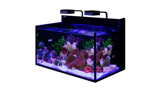 Red Sea MAX NANO G2 XXL exkl. Unterschrank (R40092G2-EUR)