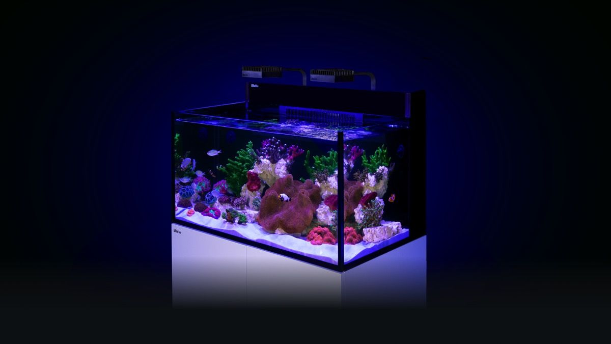 Red Sea MAX NANO G2 XXL exkl. Unterschrank (R40092G2-EUR)