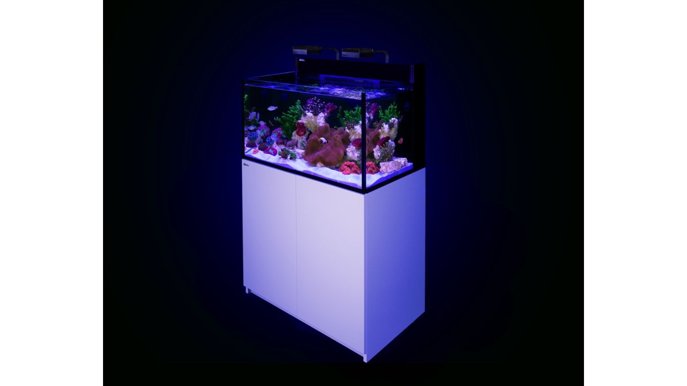 Red Sea MAX NANO G2 XXL inkl. weißer Unterschrank (R40091G2-EUR)